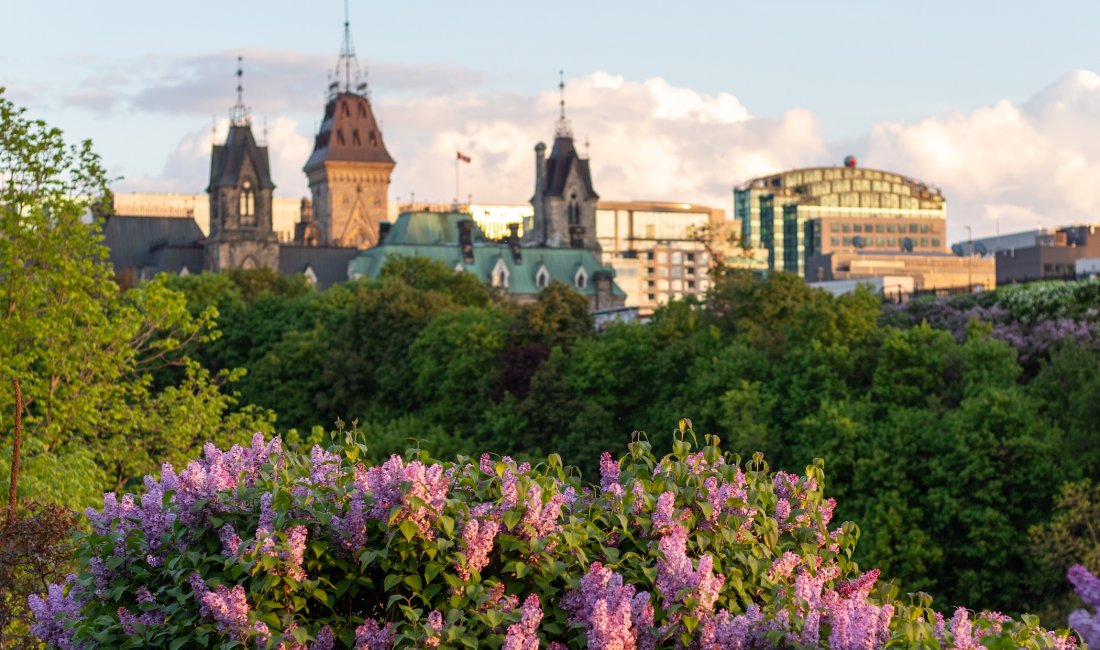 Primavera a Ottawa. Credits Iryna Tolmachova / Shutterstock