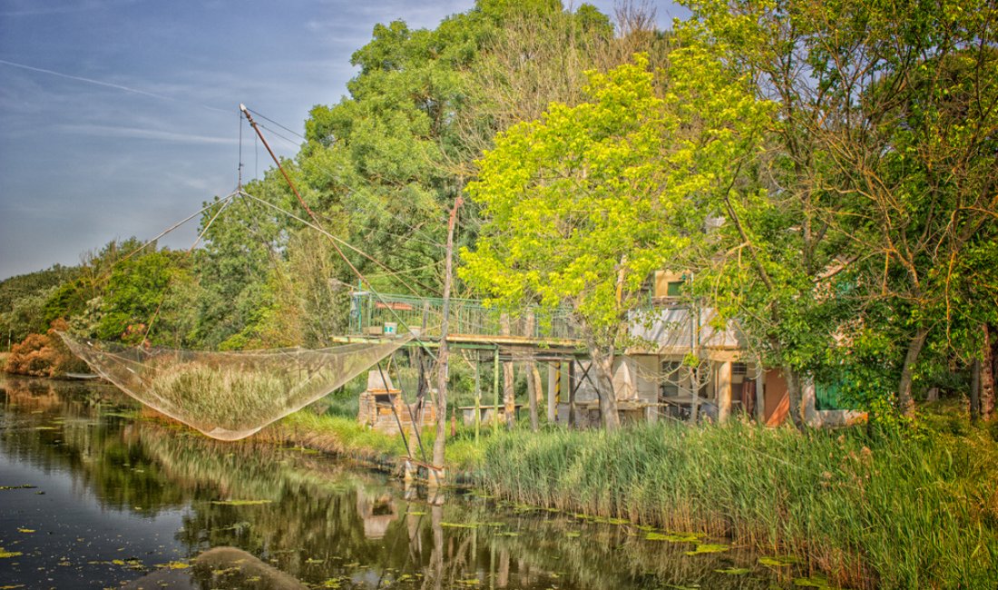 Ravenna, uno scorcio dell'area naturale di Pialassa della Baiona