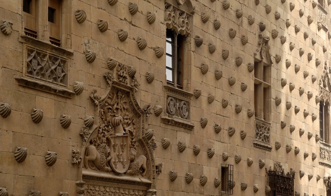 Salamanca, un dettaglio della Casa de las Conchas