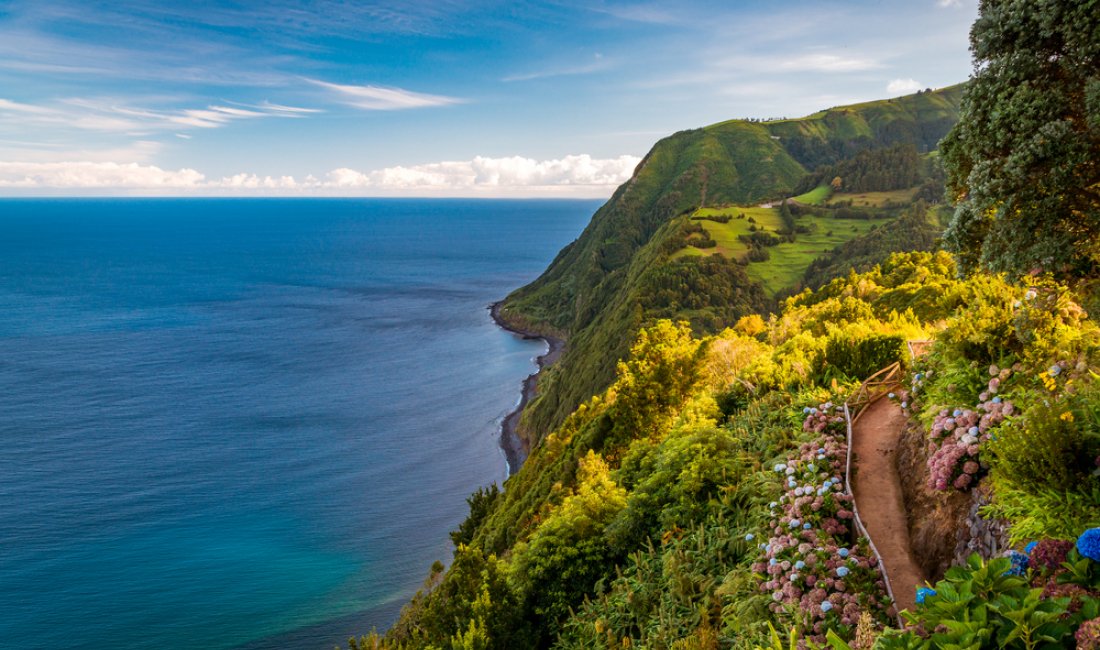 Mare, colline, fiori a São Miguel. Credits Evgeni Fabisuk / Shutterstock