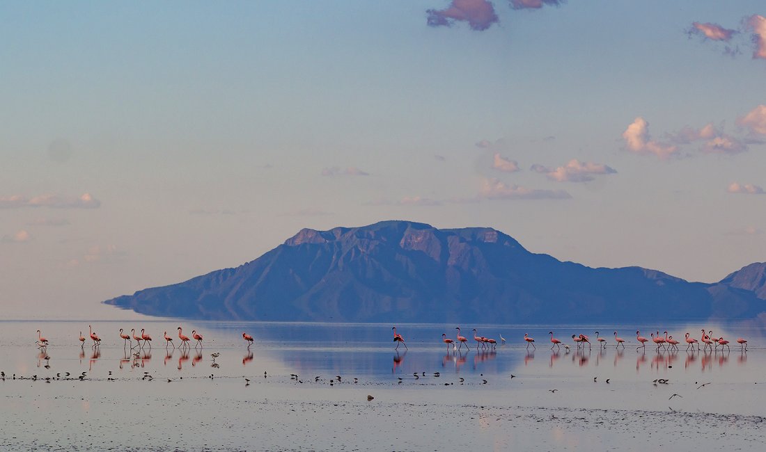 Lago Natron. Credits mathiasmoeller / Shutterstock
