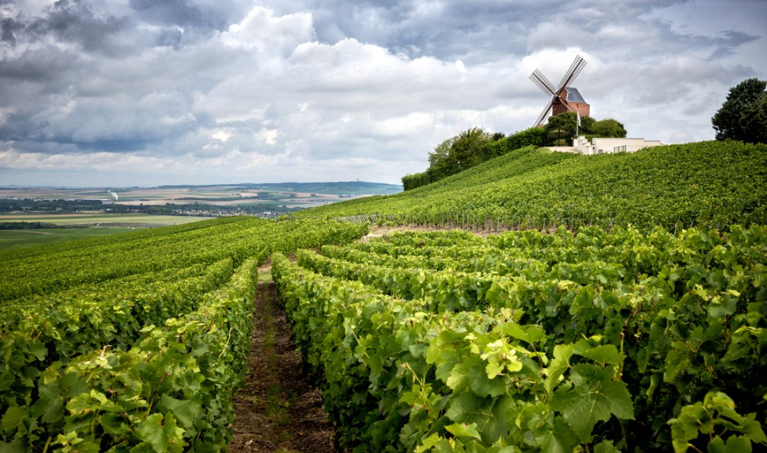 Champagne, vigneti e mulini a vento