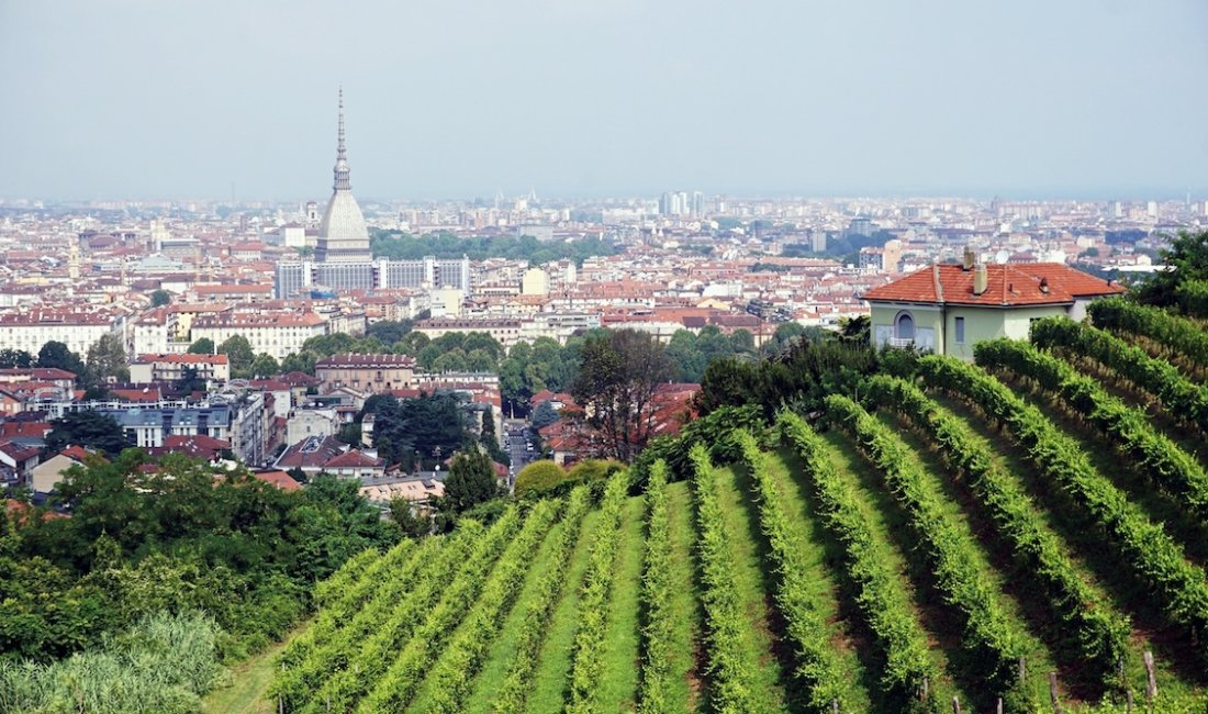 Torino, vigneti di Villa della Regina © Viaggi che mangi