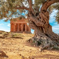 Valle dei Templi, Sicilia